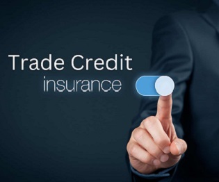 Trade Insurance